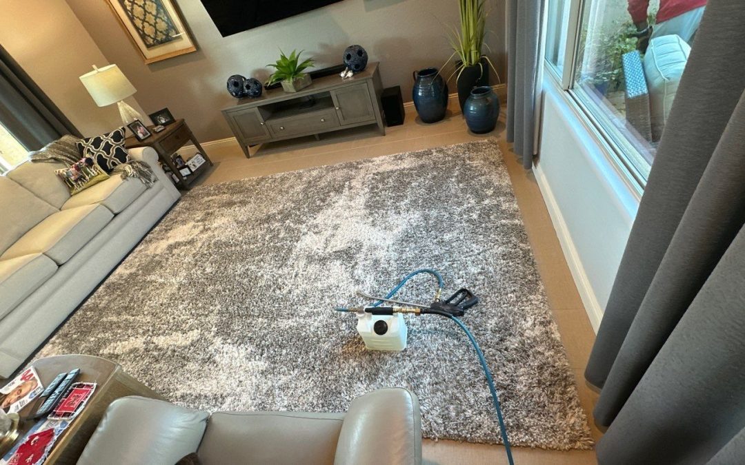 The Tile Flooring Requirement: Unlocking the Secrets of Onsite Synthetic Area Rug Cleaning